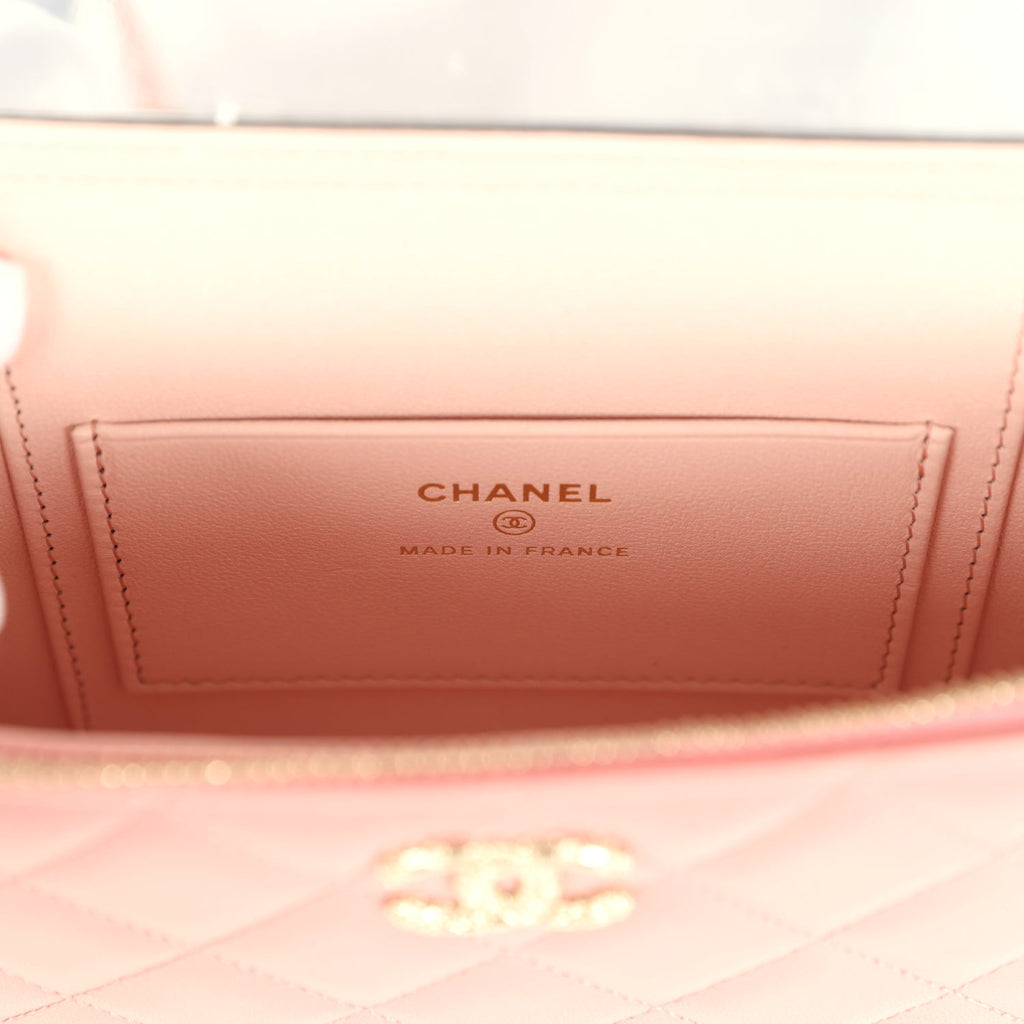 Flower Top Handle Long Vanity Case with Chain Pink Lambskin Light Gold Hardware