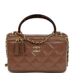 Small Tortoiseshell Top Handle Vanity Case Brown Shiny Lambskin Light Gold Hardware