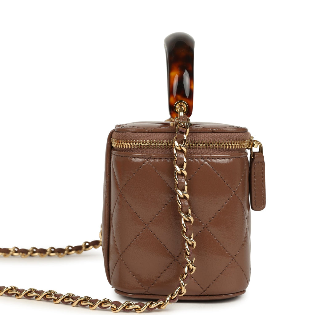 Small Tortoiseshell Top Handle Vanity Case Brown Shiny Lambskin Light Gold Hardware