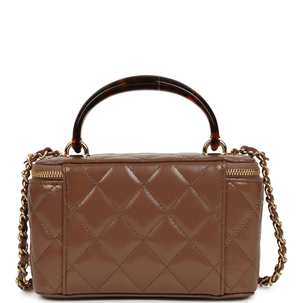 Small Tortoiseshell Top Handle Vanity Case Brown Shiny Lambskin Light Gold Hardware