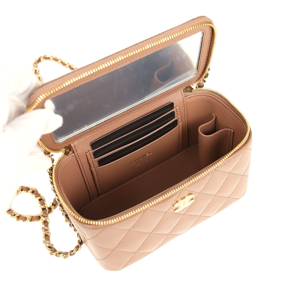 Small Tortoiseshell Top Handle Vanity Case Brown Shiny Lambskin Light Gold Hardware