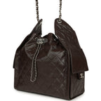 Medium 25 Hobo Bag Dark Brown Shiny Aged Calfskin Silver Hardware
