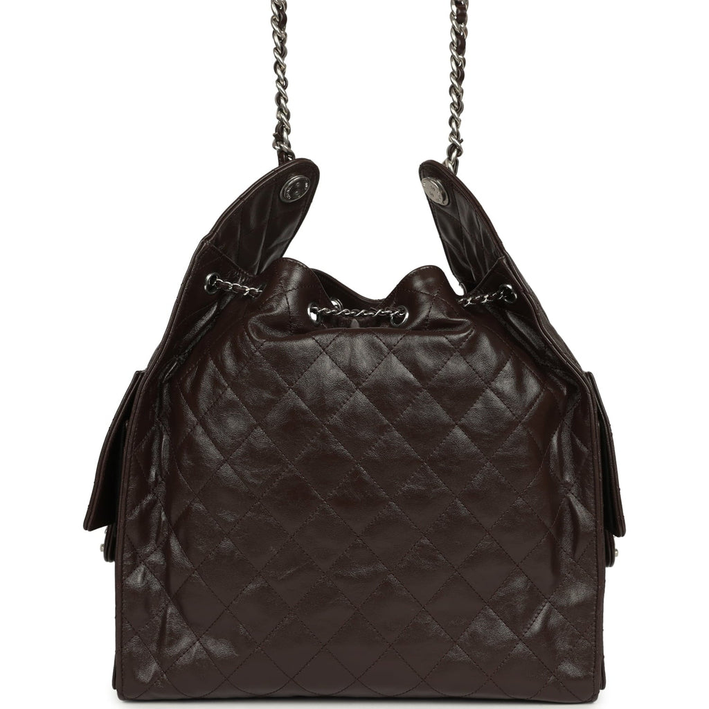 Medium 25 Hobo Bag Dark Brown Shiny Aged Calfskin Silver Hardware