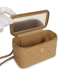 Small Top Handle Vanity Case Dark Beige Lambskin Light Gold Hardware