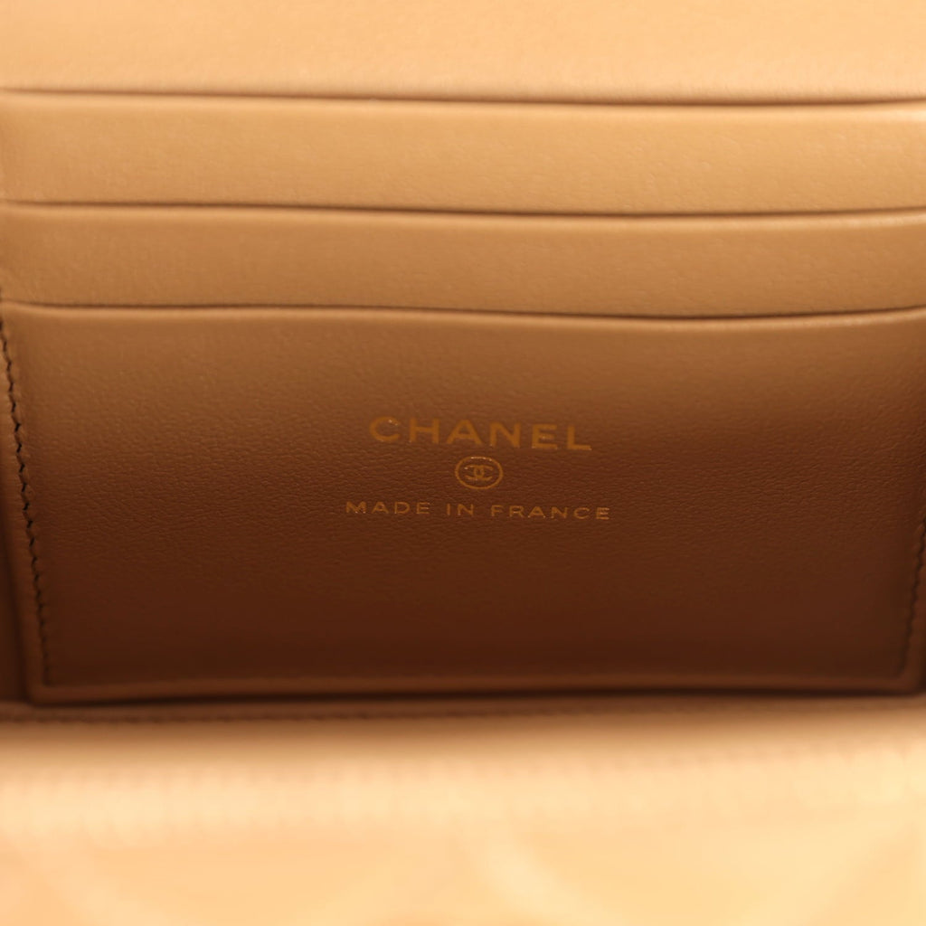 Small Top Handle Vanity Case Dark Beige Lambskin Light Gold Hardware