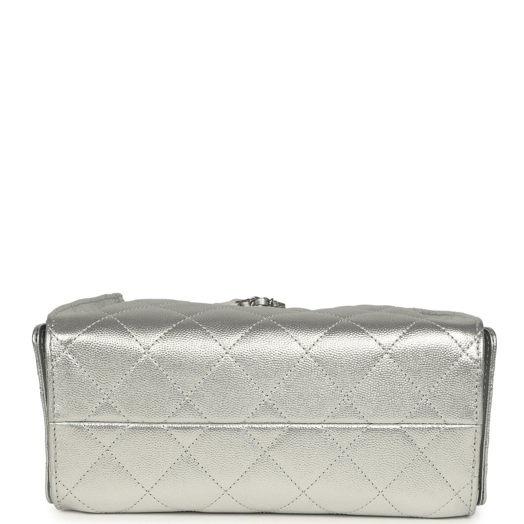 Mini 25 Hobo Bag Metallic Silver Caviar Silver Hardware
