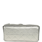 Mini 25 Hobo Bag Metallic Silver Caviar Silver Hardware