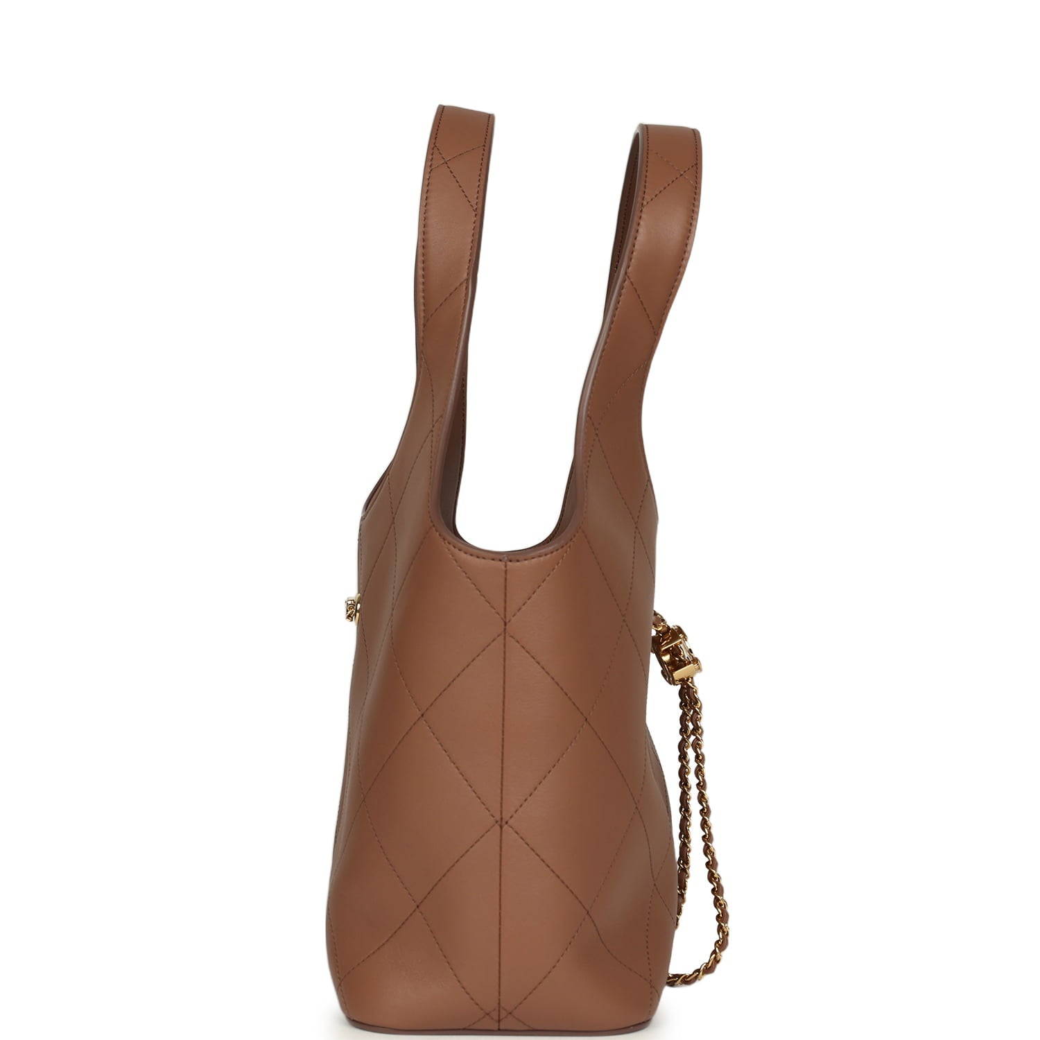 Daily Trendy Shopping Bag Brown Calfskin Gold Hardware