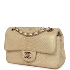 Mini Rectangular Flap Bag Iridescent Gold Python Gold Hardware