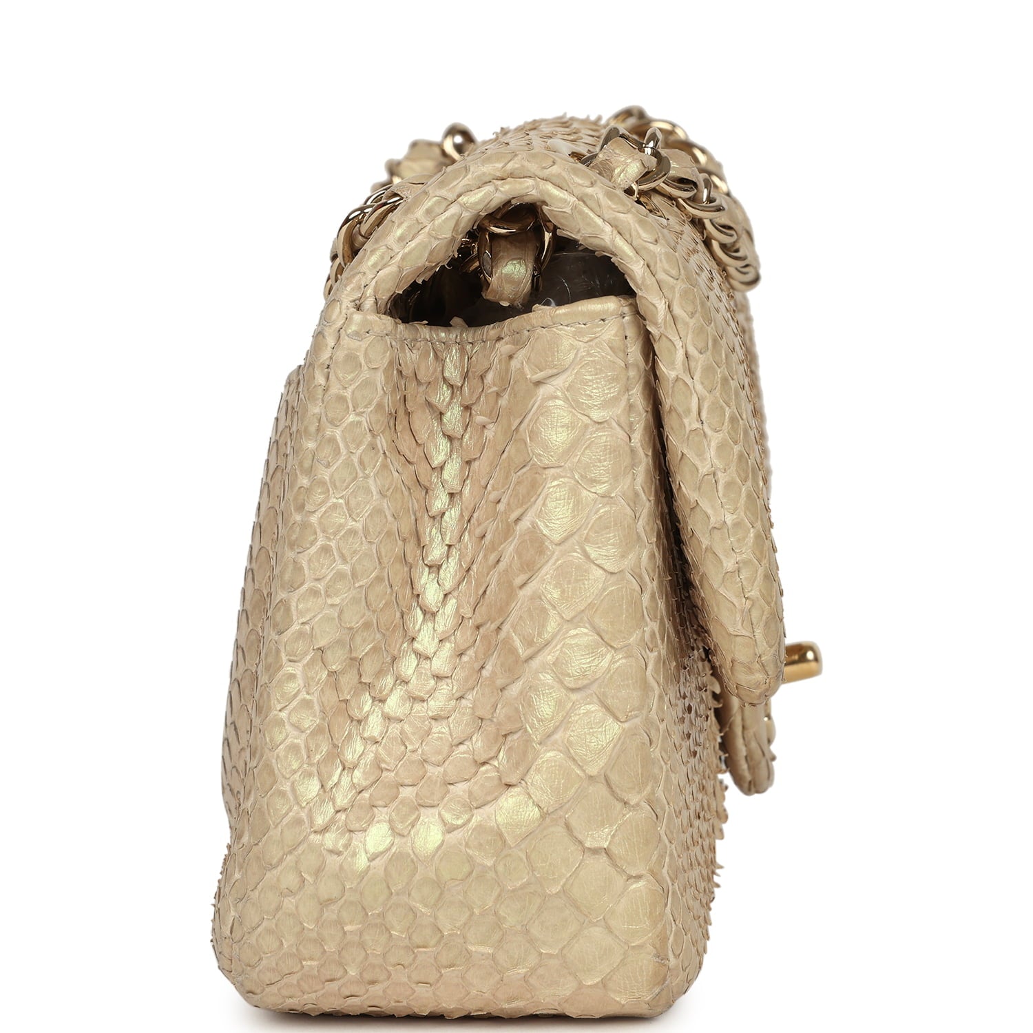 Mini Rectangular Flap Bag Iridescent Gold Python Gold Hardware
