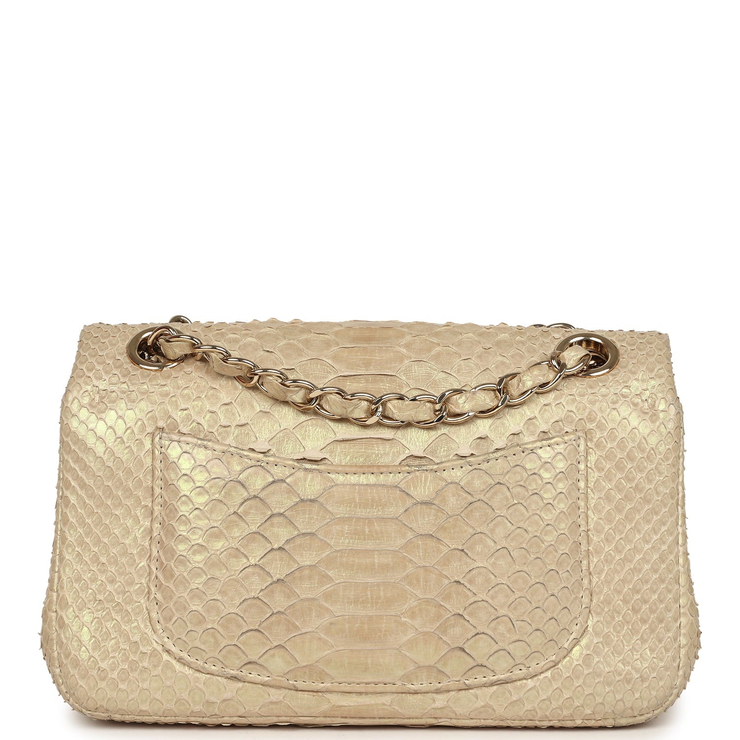 Pre-owned Mini Rectangular Flap Bag Iridescent Gold Python Gold Hardware