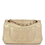 Mini Rectangular Flap Bag Iridescent Gold Python Gold Hardware