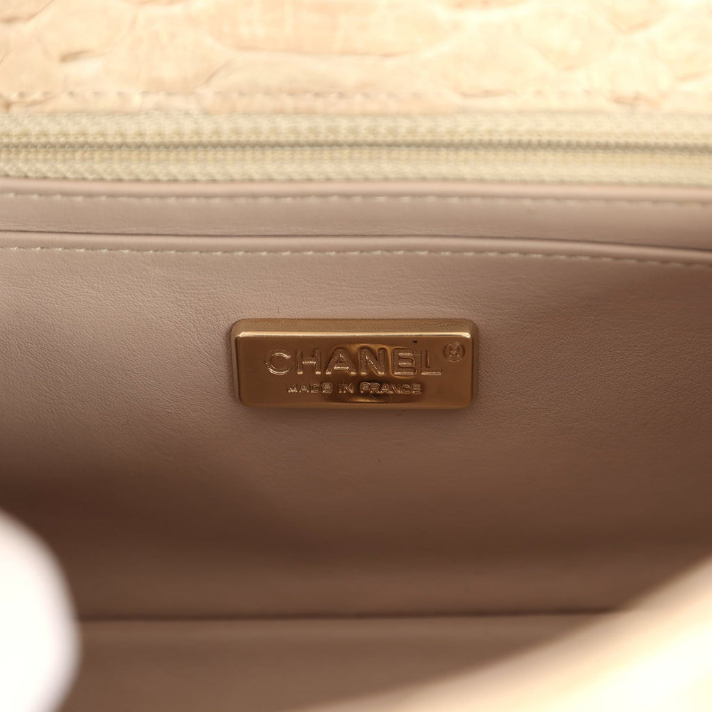 Mini Rectangular Flap Bag Iridescent Gold Python Gold Hardware
