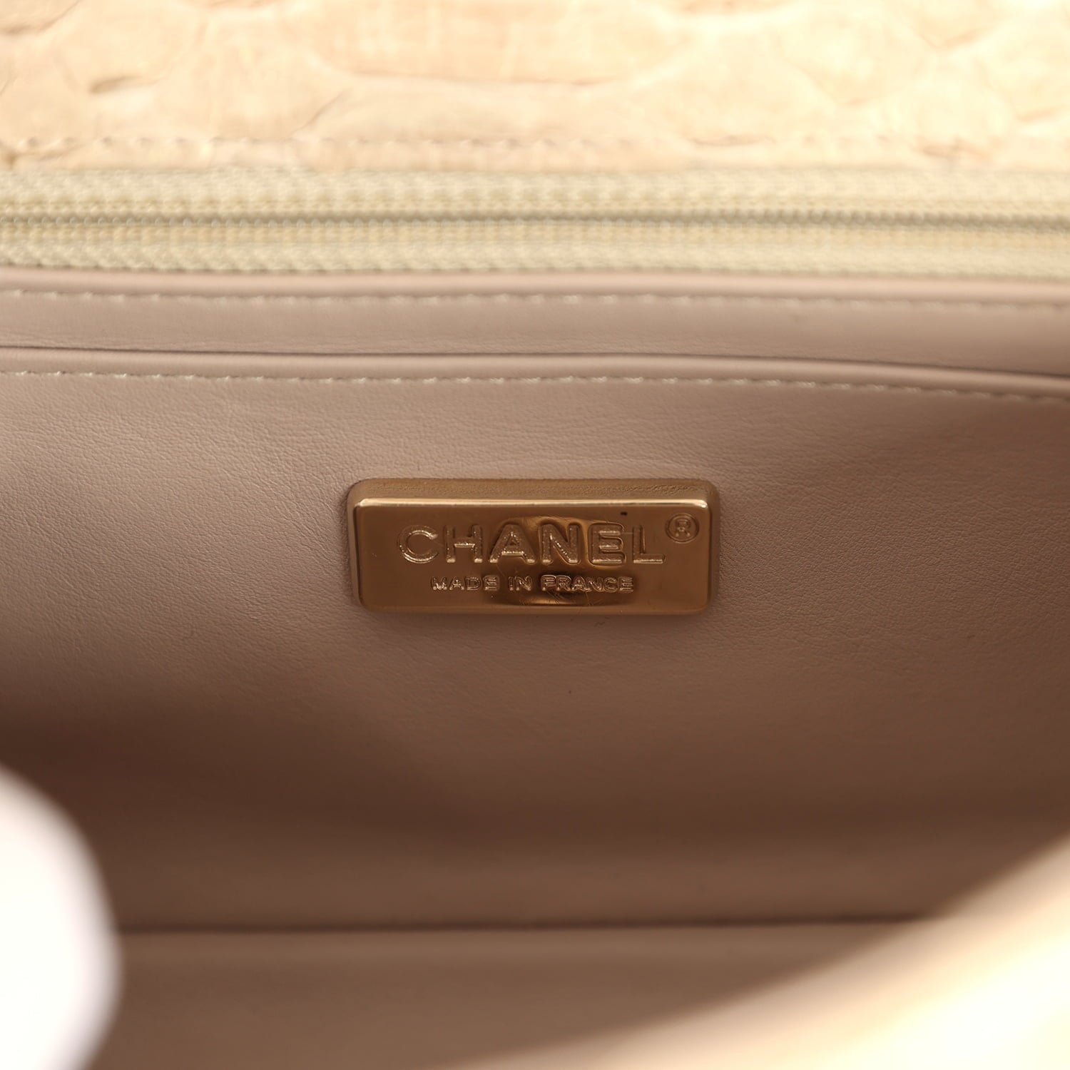 Mini Rectangular Flap Bag Iridescent Gold Python Gold Hardware