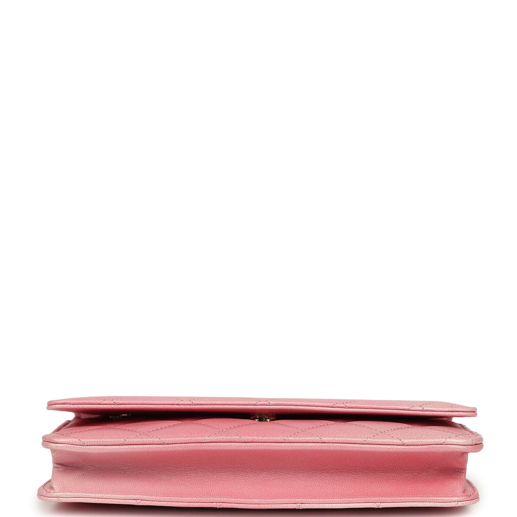 Classic Wallet On Chain Ombre Pink Shiny Goatskin Light Gold Hardware