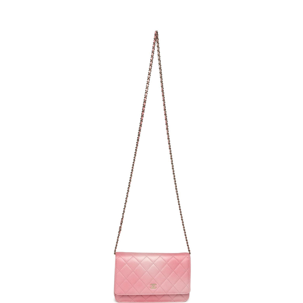 Classic Wallet On Chain Ombre Pink Shiny Goatskin Light Gold Hardware